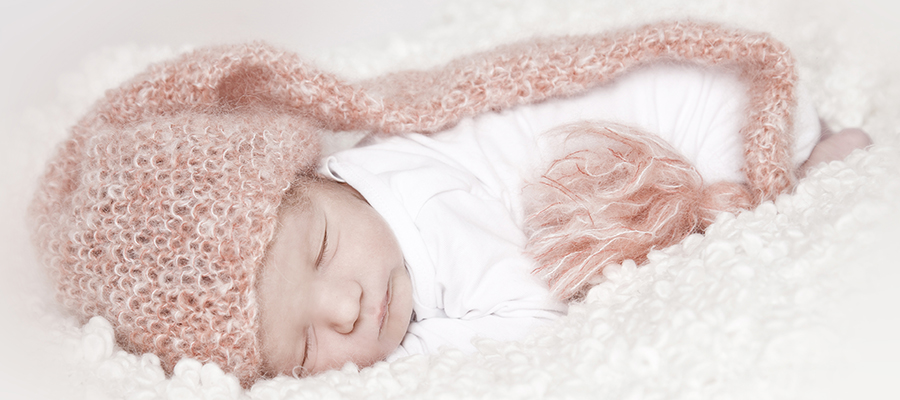 Slider Image _MG_0387.jpg