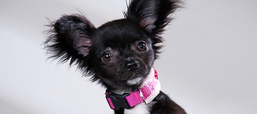 Slider Image Gruber40x40.jpg