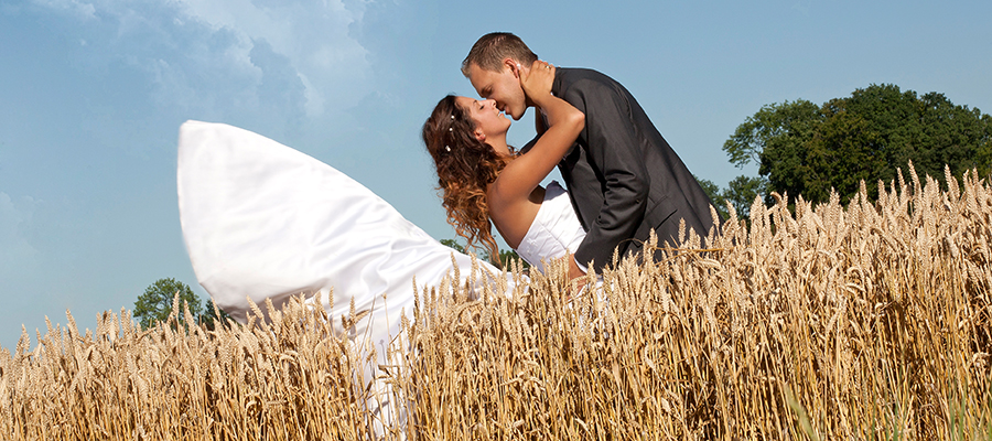 Slider Image Bachinger5.jpg