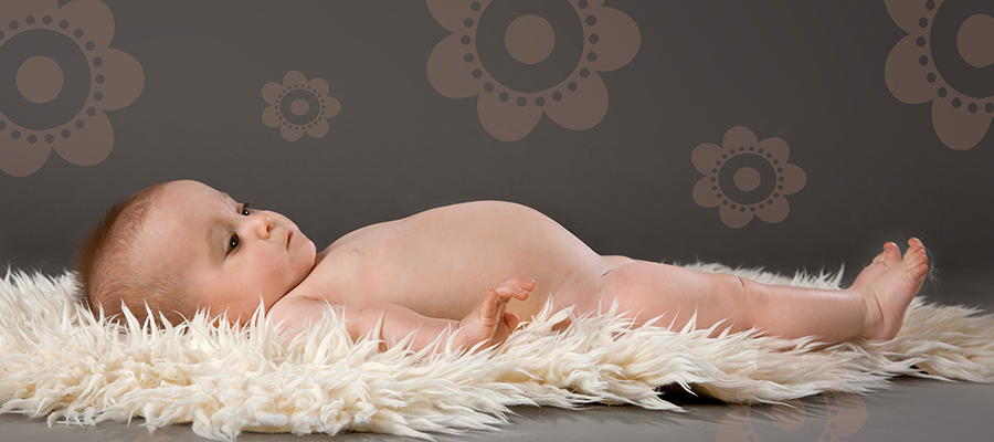 Slider Image 48x88_schlader.jpg