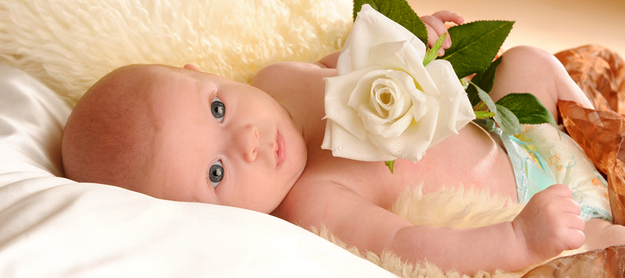 Slider Image DSC_4554.jpg