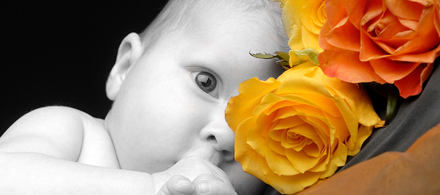 Slider Image DSC_8266_teilcolor.jpg