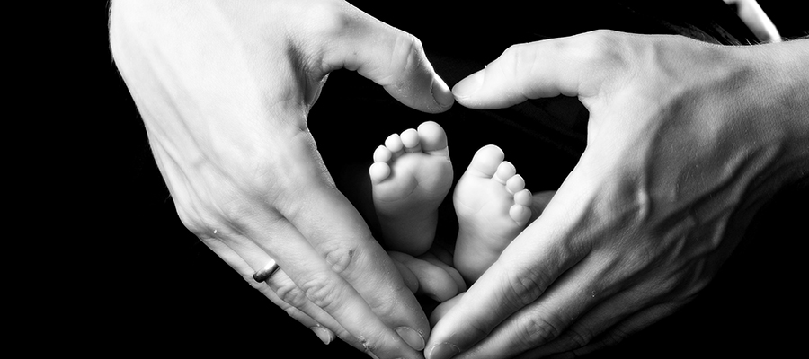 Slider Image _DSC9884.jpg