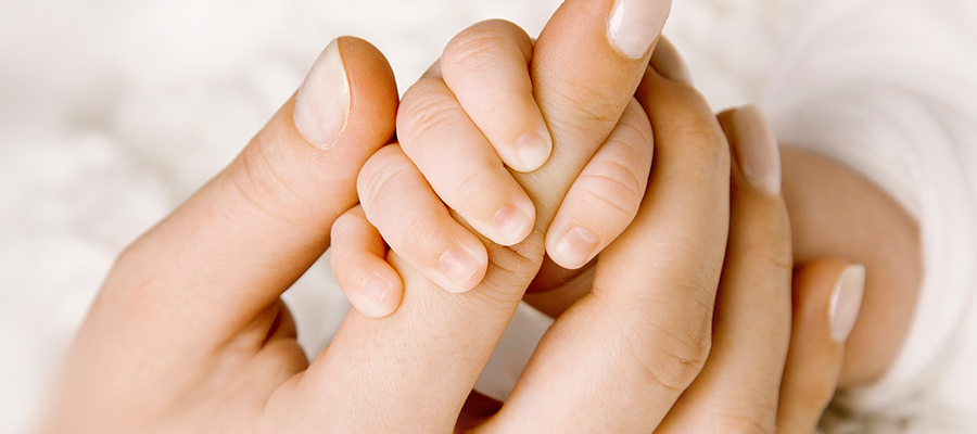 Slider Image _MG_6729_ok.jpg