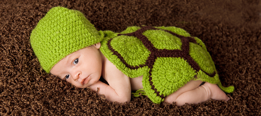 Slider Image _MG_9200.jpg