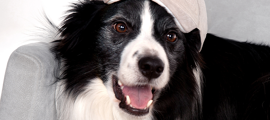 Slider Image kern40x40.jpg